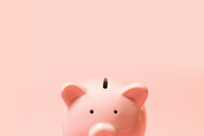 Piggy bank pig