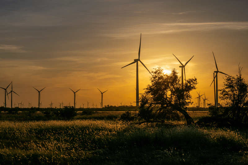 Wind turbines in a field at sunrise in Nolan, Texas.