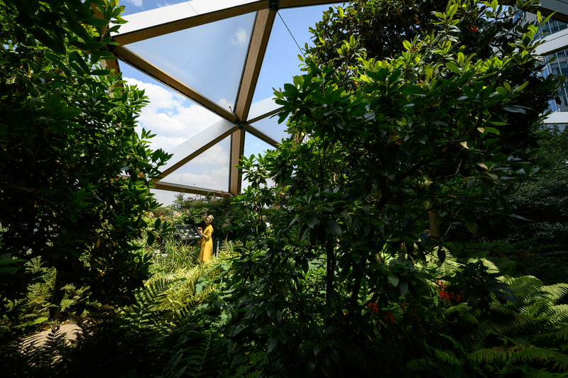 A woman enjoys the lush greenery of the Crossrail Place roof garden at Canary Wharf.