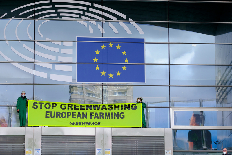 Inside the EU greenwashing directive – rules for sustainable communication